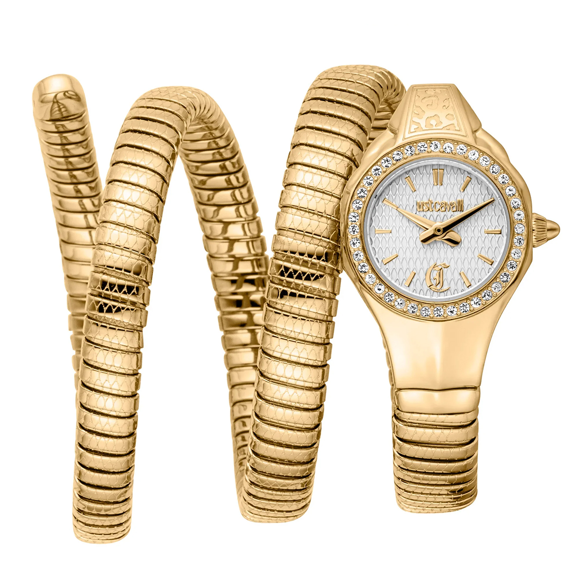 MONTRE JUST CAVALI FEMME SIMPLE ACIER